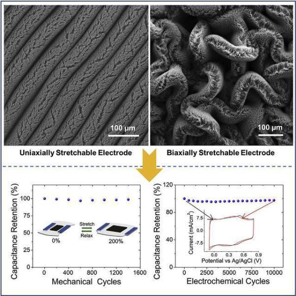 九洲国际官网(中国区)股份有限公司